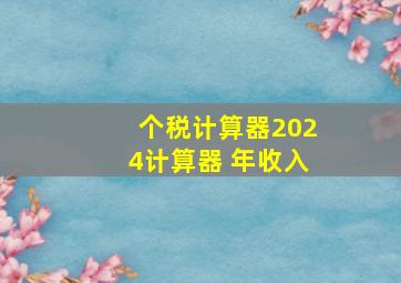 个税计算器2024计算器 年收入